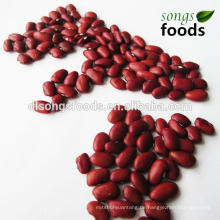 Neue Ernte und hochwertige äthiopische rote Kidneybohnen